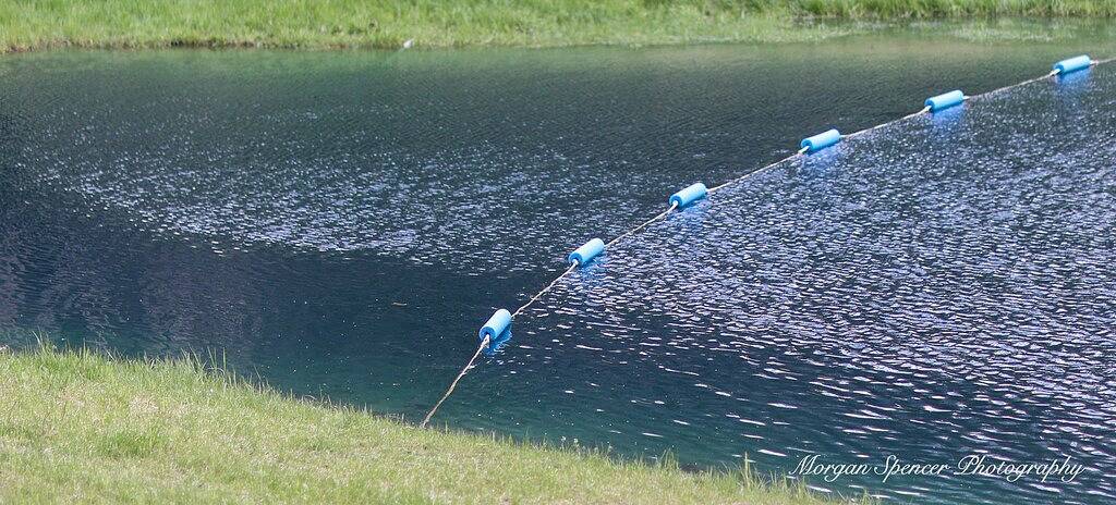 Beginnen Sie Ihr nächstes Abenteuer mit Pine Creek Villas: Birds Nest Retreat! in Hocking Hills