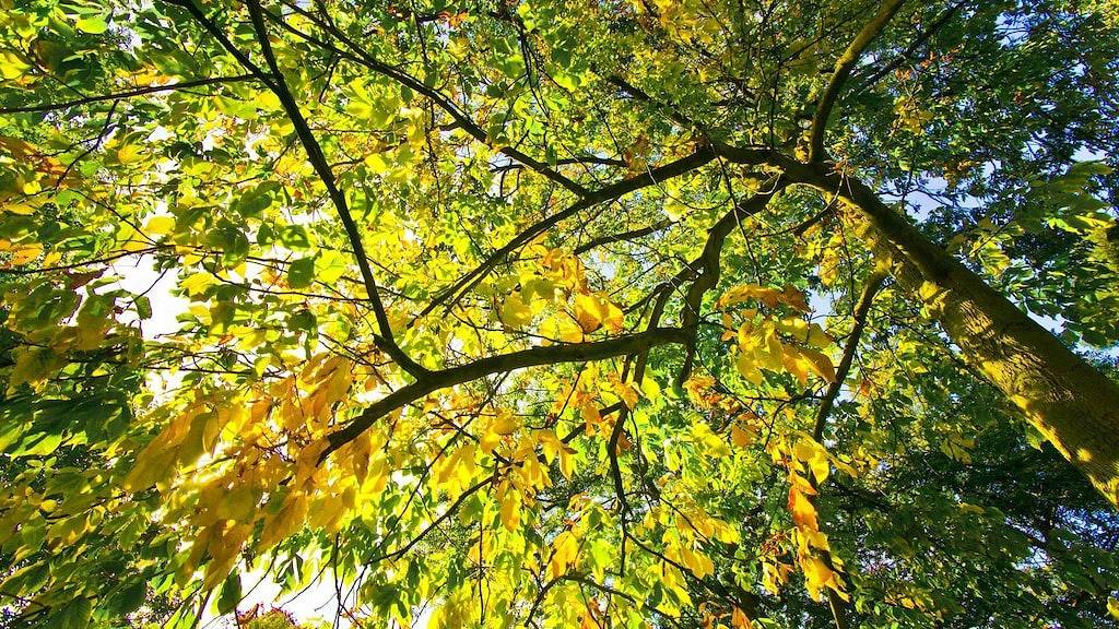 Tower Hill House: Schön, Naturschutzgebiet, herrlicher Meerblick, Wifi, tierfreundlich in Shire of Moyne