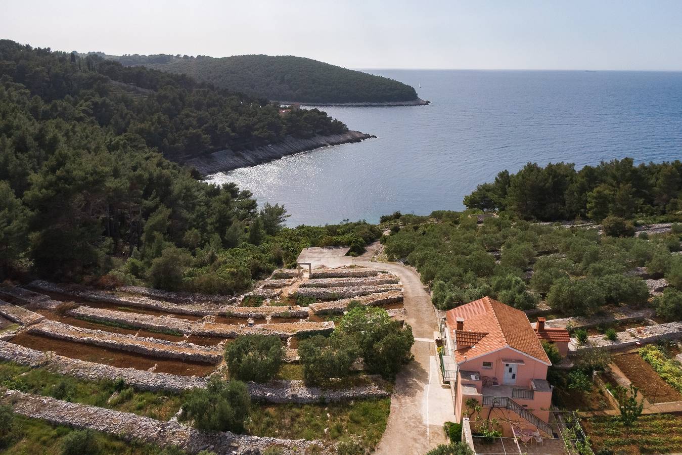 Fyrrumshus med terrass och utsikt över havet Vik Zanavje, Korcula K-19224 in Vela Luka, Korčula