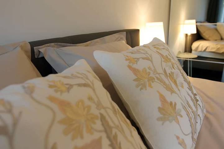 Entire apartment, Magnificent Luxury Apartment in Townhouse -  Garage, Garden, Terrace, near metro in Koekelberg, Flanders