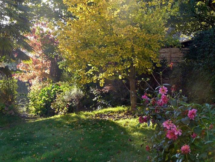 Chambre d’hôte pour 2 personnes, avec jardin dans le Calvados - 3