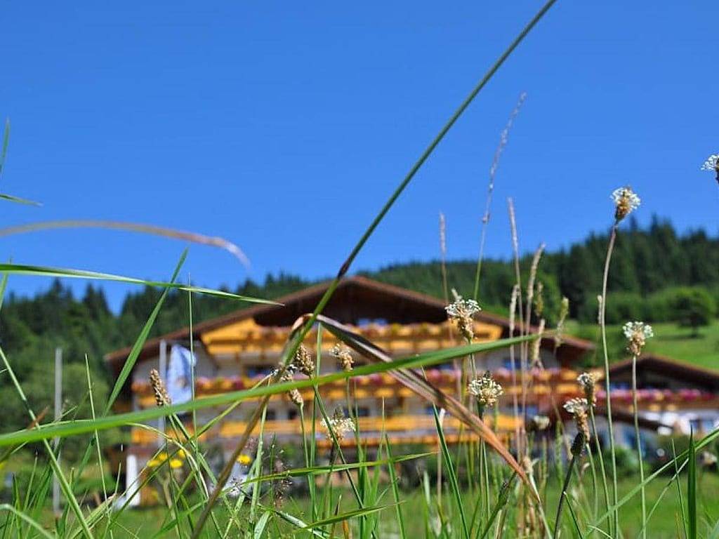 "Enzian" im Landhaus Wildschütz in Jungholz, Bayerische Alpen