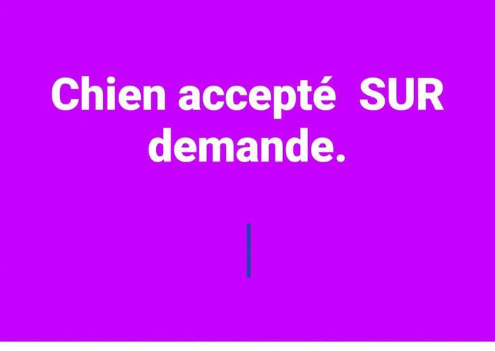 Location de vacances pour 2 personnes, avec vue ainsi que jardin et piscine à Montbazin - 3