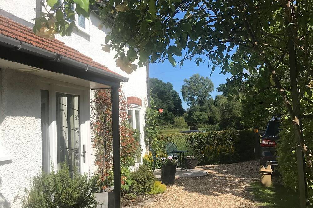Beautiful New Forest cottage with direct forest access. Ponies at the gate! in Burley, Hampshire
