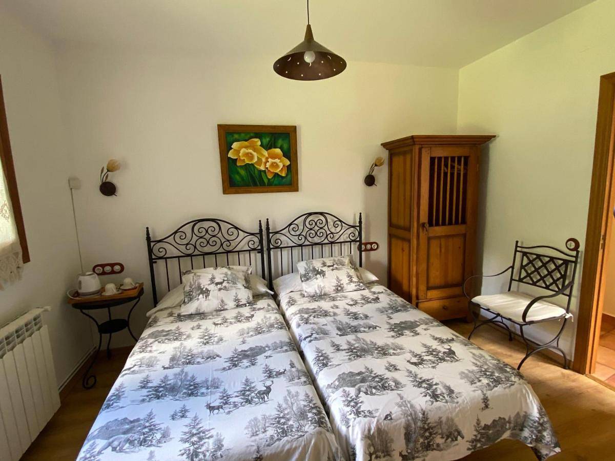 Twin Room with Bathroom in Valle de Bohí, Alta Ribagorça