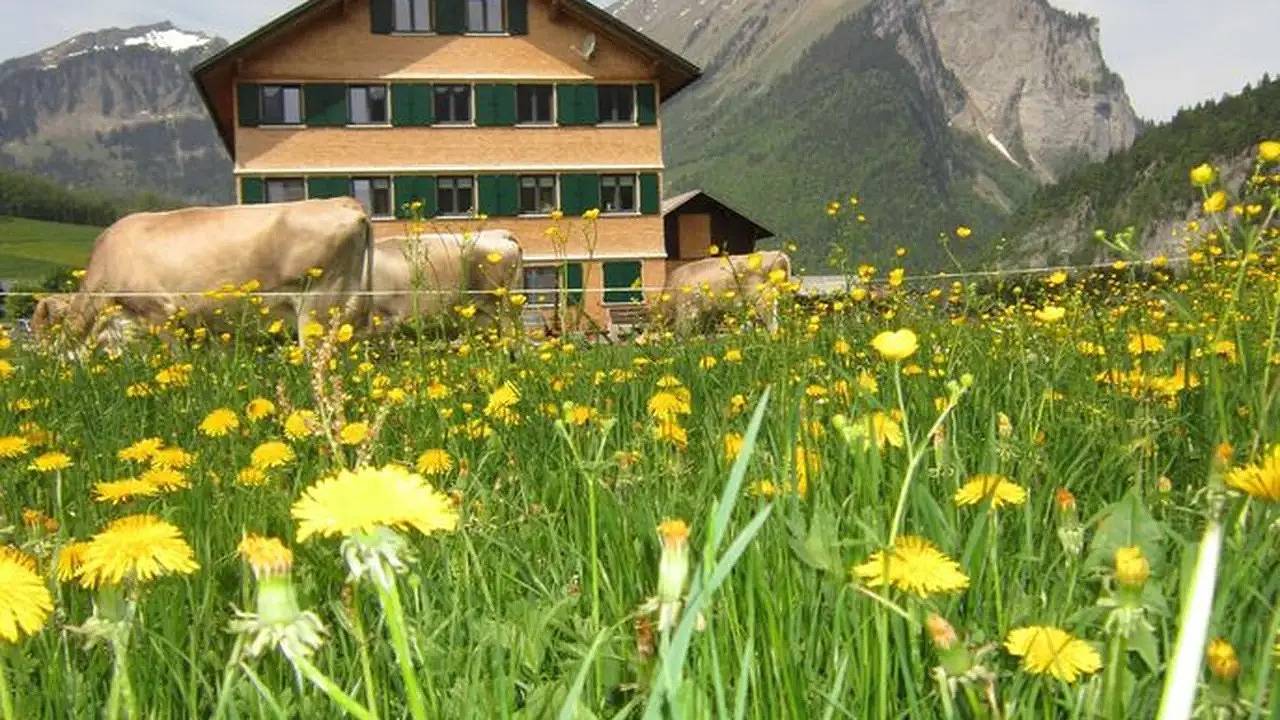 Vacation Rental for 6 Guests in Au, Lechquellengebirge