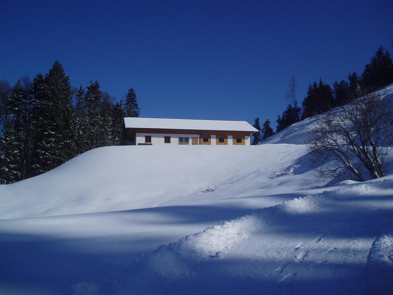 Ganze Ferienwohnung, Goglalm in Walchsee, Kaisergebirge