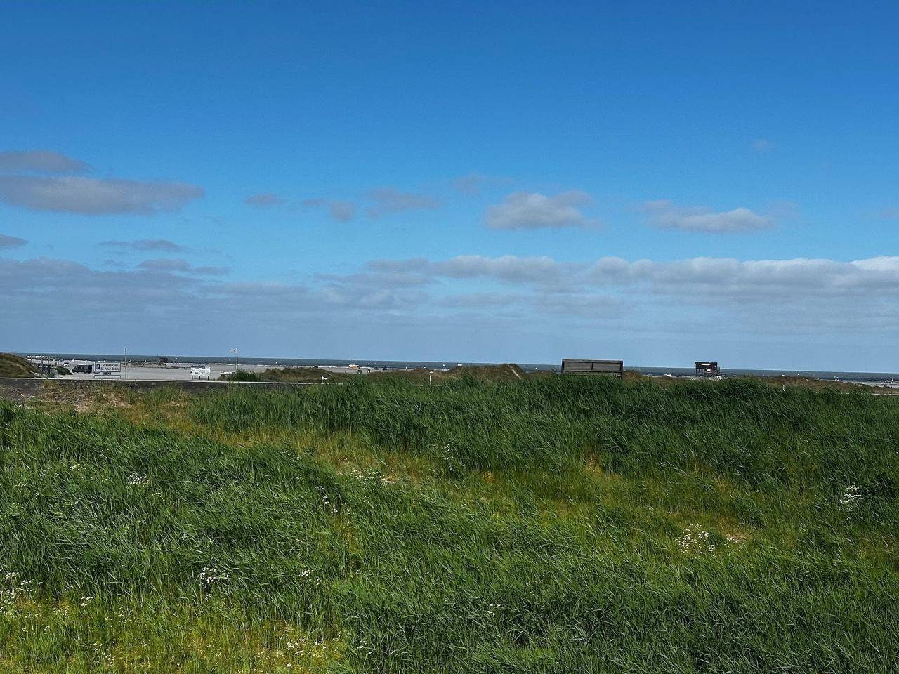 Ganze Ferienwohnung, BeachHus 35, Whg.1 in St. Peter-Ording, Eiderstedt
