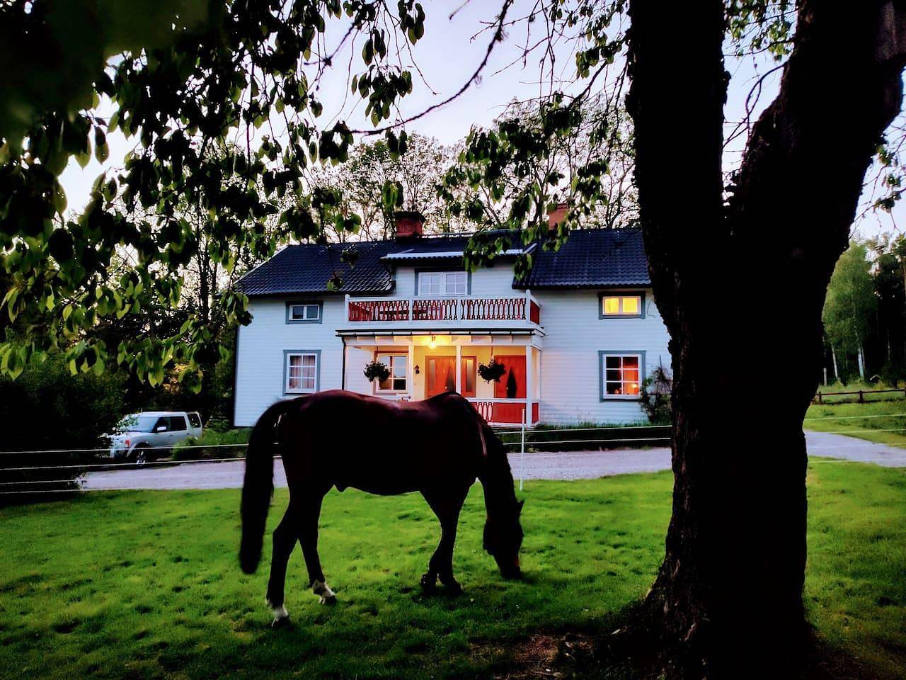 Ferienhaus für 12 Personen mit Garten in Dalarna