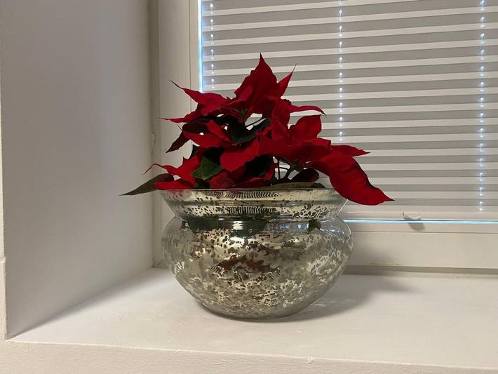 Ferienwohnung für 2 Personen, mit Garten in Hameln - 3