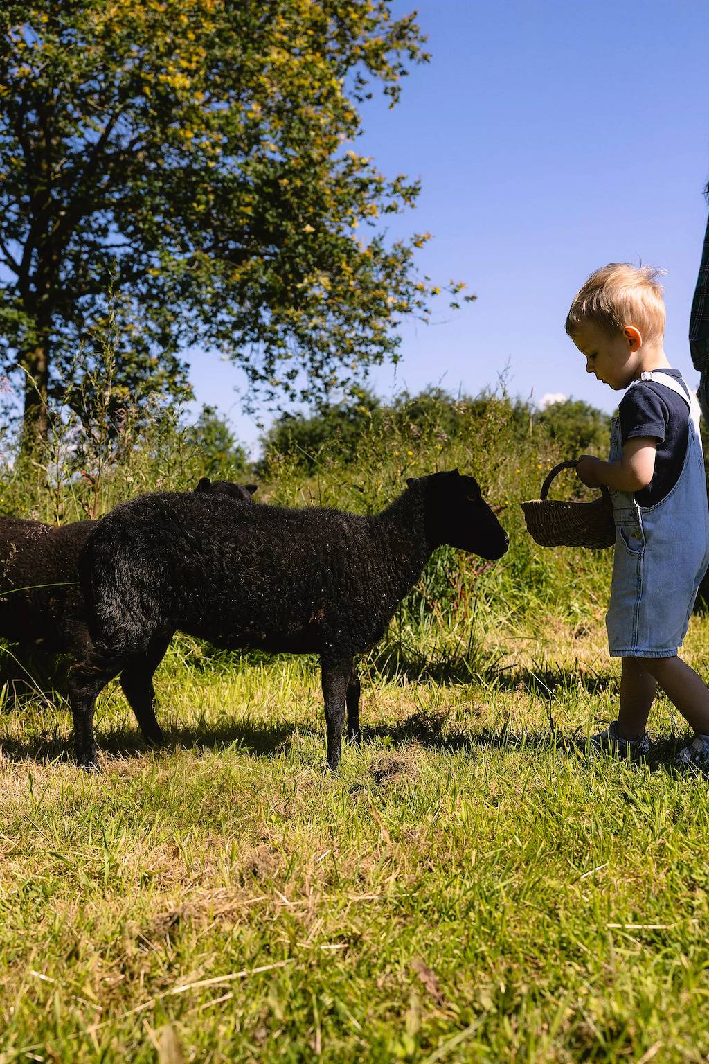 Ganze Wohnung, Tiny House in einem Bauernhof 20 Minuten von Beauval Zoo in Faverolles, Loire-Tal