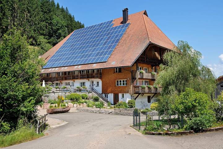 Ganze Wohnung, Ferienwohnung 'Mühlenstüble' mit Bergblick, Gemeinschaftsterrasse und Wi-Fi in Gutach (Schwarzwaldbahn), Mittlerer Schwarzwald
