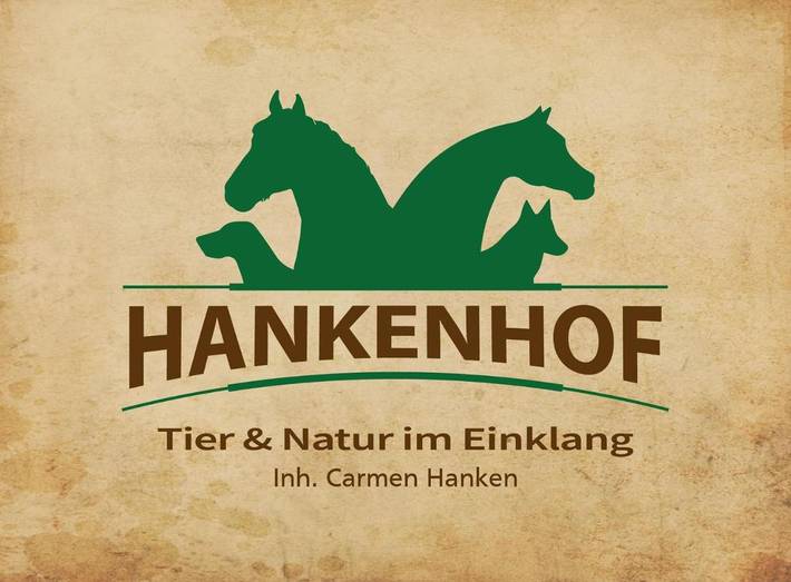 Ferienwohnung für 4 Personen, mit Terrasse und Garten in Filsum