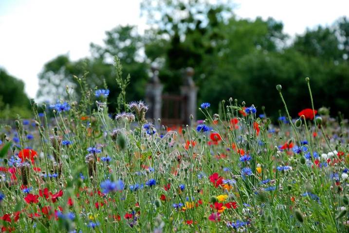 Location de vacances pour 2 personnes, avec jardin et vue à Port-d'Envaux - 3