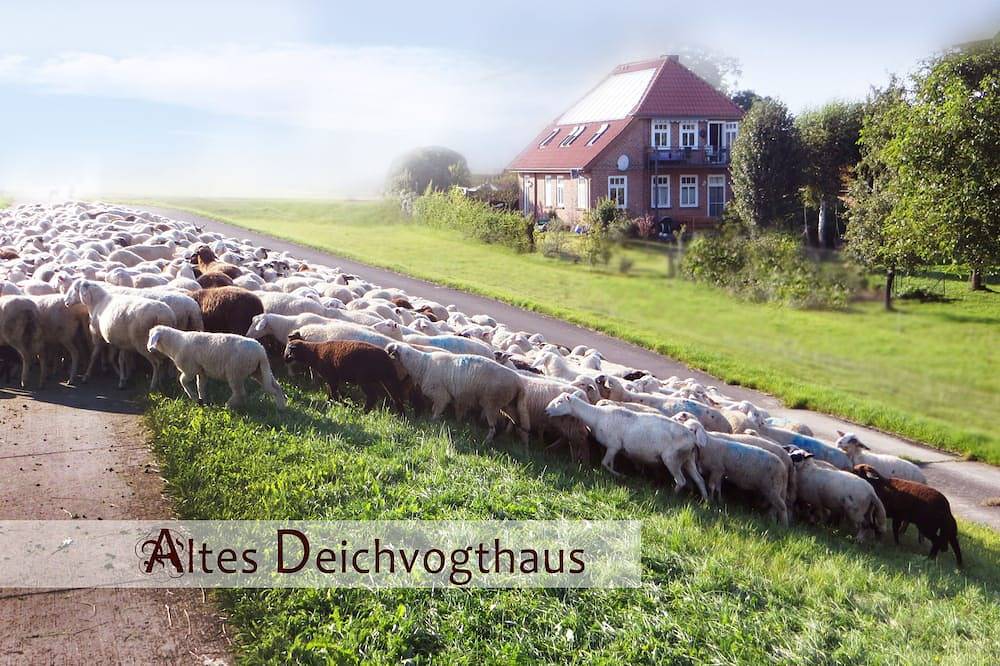 Sehr schönes, restauriertes Fachwerkhäuschen mit eigenem Garten und Holzsauna in Bleckede, Elbtalaue