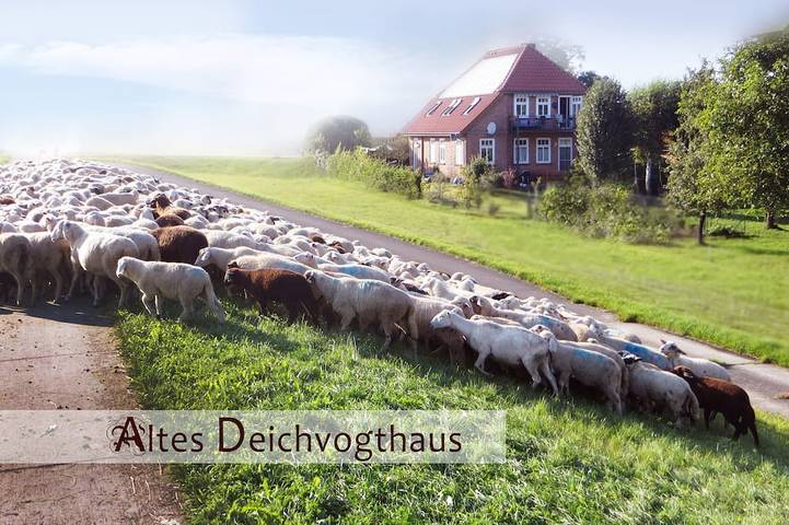 Ferienhaus für 6 Personen, mit Sauna und Garten in Bleckede