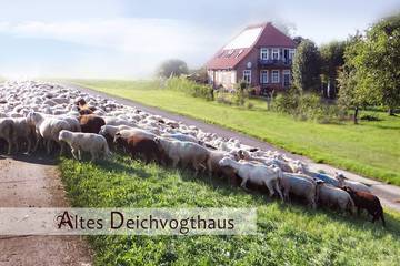 Ferienhaus für 6 Personen, mit Sauna und Garten in Elbtalaue