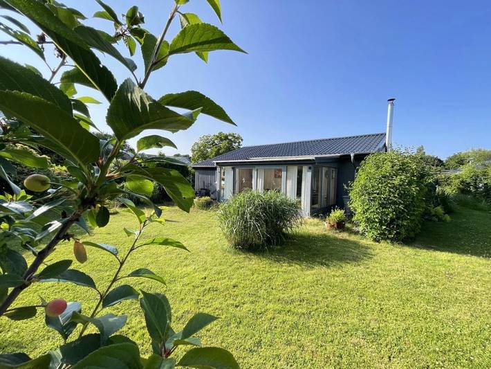 Ferienhaus für 4 Personen, mit Sauna und Garten sowie Terrasse, mit Haustier in Westerholz - 3