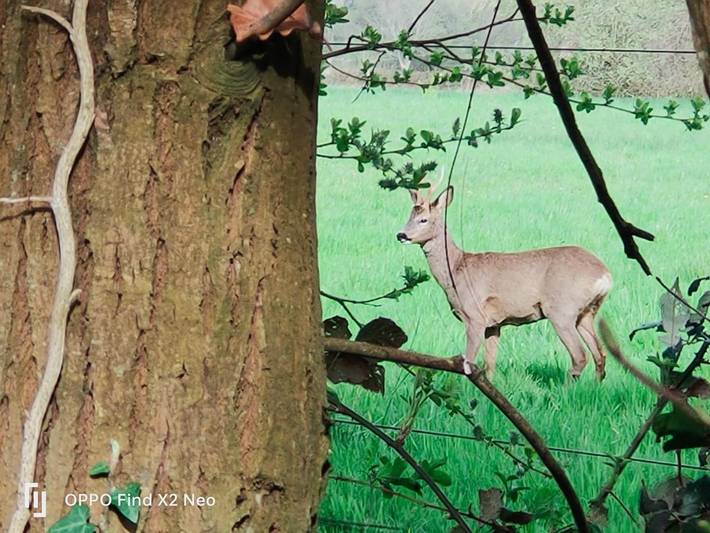 Maison d’hôte pour 6 personnes, avec jardin et vue dans la Manche - 4
