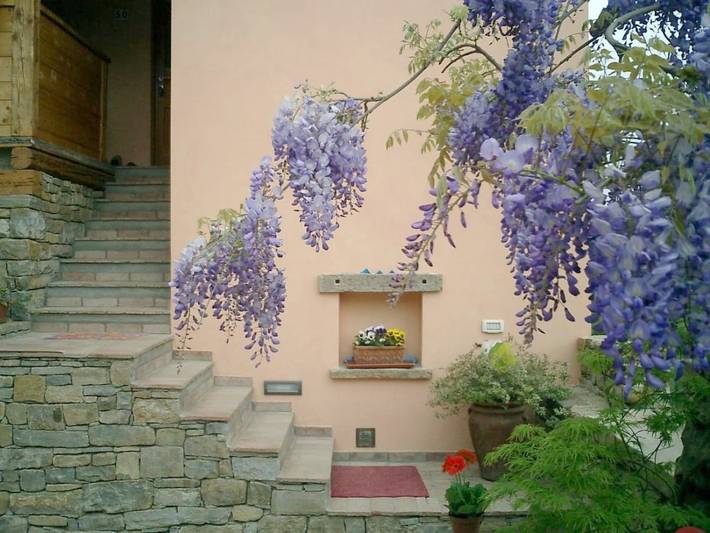 Bed & breakfast dla 3 osób, z Ogród w San Dorligo della Valle