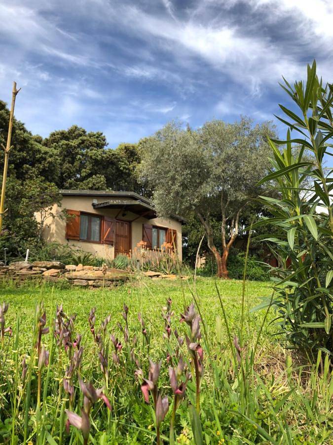One-Bedroom Bungalow in Belvís de Monroy, Parque Nacional de Monfragüe