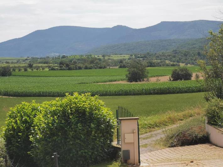 Gîte pour 3 personnes, avec vue et terrasse à Rosheim - 2