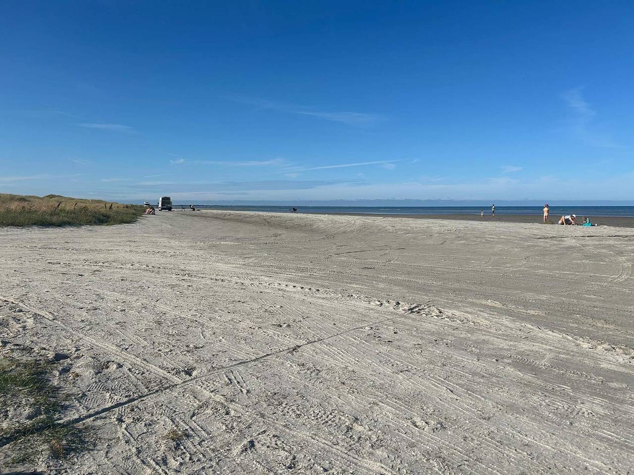 Natur Ruckzug in albaek in Napstjert, Jerup