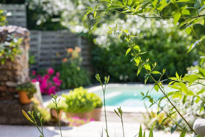 Chambre d’hôte pour 4 personnes, avec Terrasse ainsi que Jardin et Piscine dans les Landes - 2