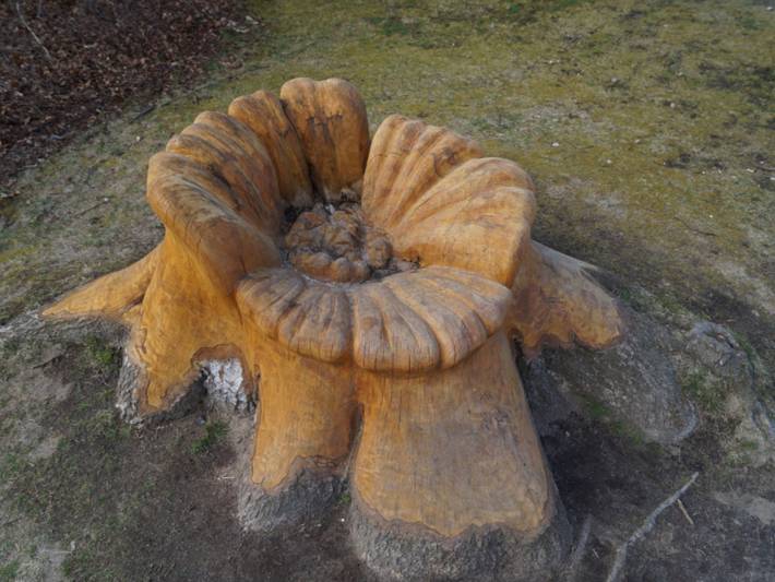 Ferienpark für 6 Personen, mit Balkon, kinderfreundlich in der Rostocker Heide - 3