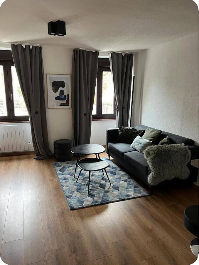 Appartement entier, Élégant F2 luxueux proche Suisse in Delle, Massif du Jura