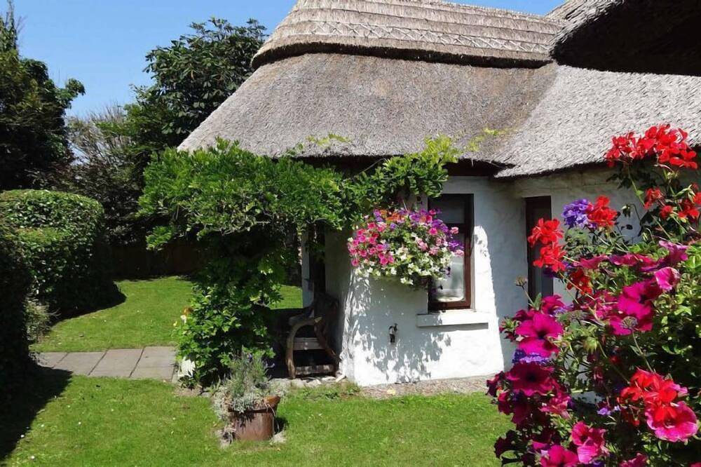 Little Orchard Cottage - sleeps 5 guests  in 3 bedrooms in County Meath
