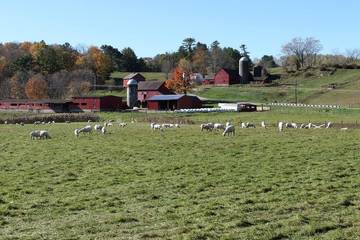 Cottage for 3 Guests in Great Barrington, Massachusetts, Picture 2