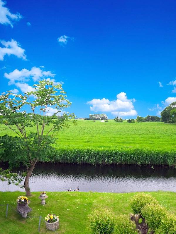 Bungalow für 6 Personen, mit Terrasse und Garten, mit Haustier in Anjum - 3