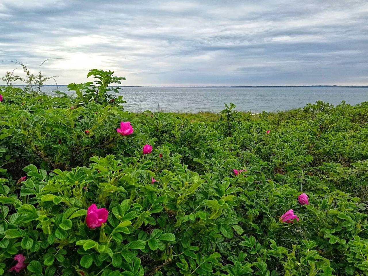 Luxurioses Refugium in Loddenhoj-By Traum in Loddenhøj, Apenrade