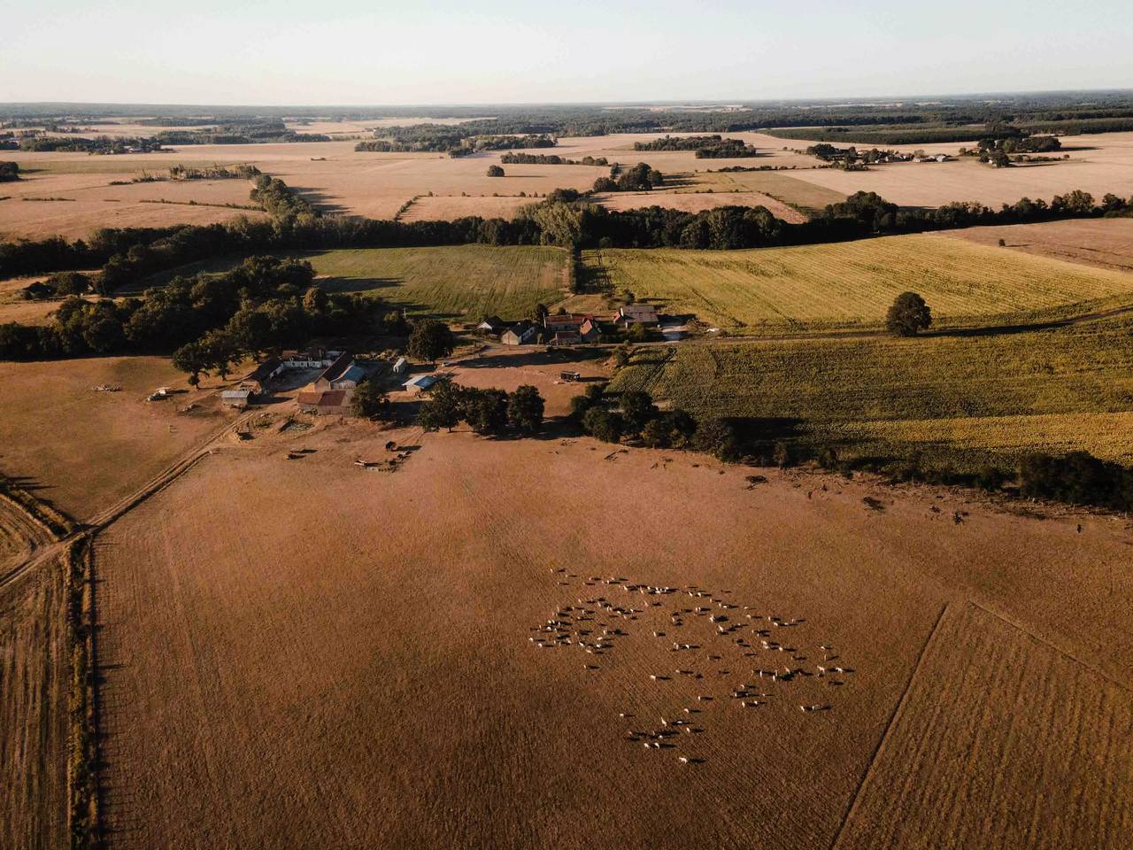 Ganze Wohnung, Tiny House im Herzen eines Ziegenhauses 15 Minuten vom Beauval Zoo entfernt in Nouans-les-Fontaines, Loches und Umgebung