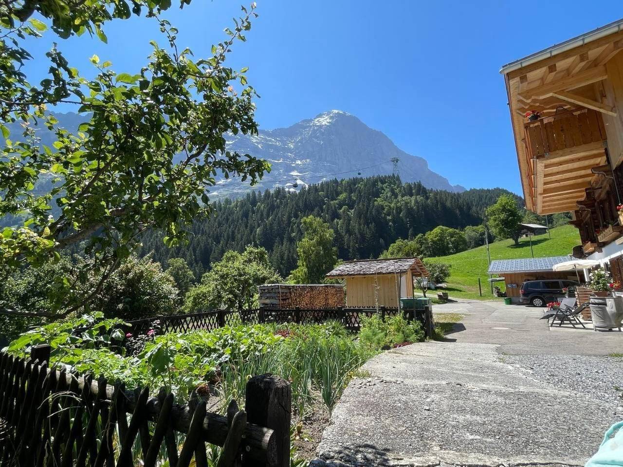 Appartamento intero, Chalet am Bühl in Grindelwald, Grindelwald e dintorni