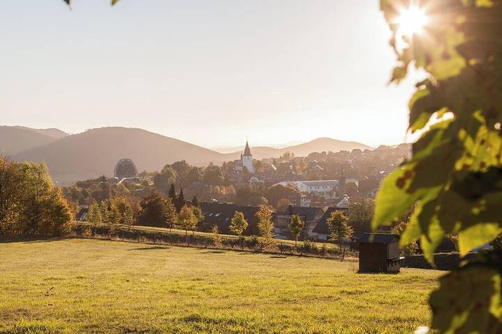 Bauernhof für 4 Personen in Winterberg