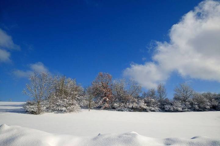 Ferienwohnung für 7 Personen in Tutzing