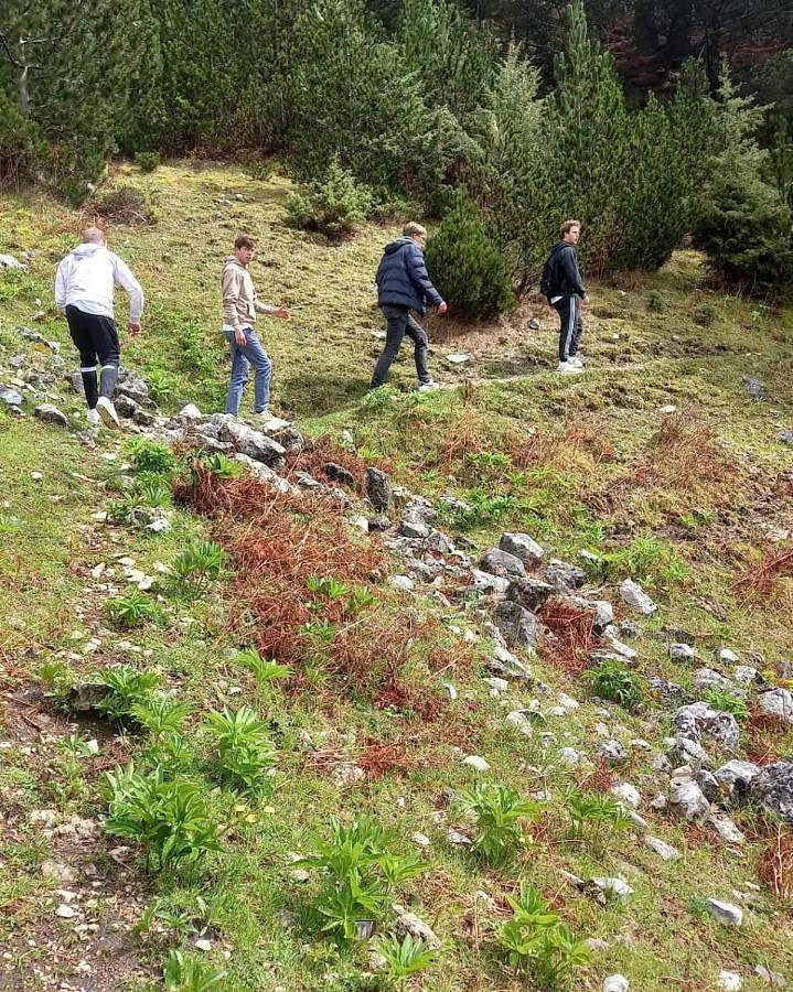 Guest House Qafe Dardha - Tomorr National Park in Roshnik, Albanie