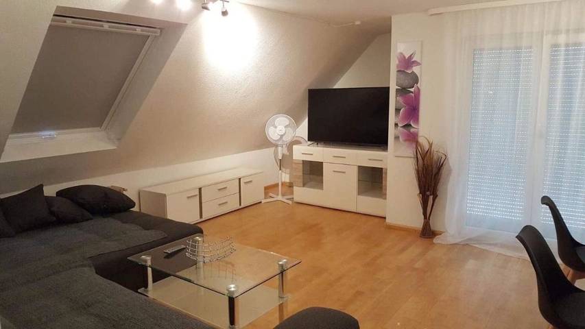 Gîte pour 21 personnes, avec terrasse à Lahr - 4