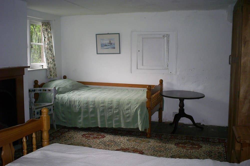 Borrowers' Thatched Cottage in the heart of North Devon's unspoilt countryside in Hartland, Hartland Devon Heritage Coast