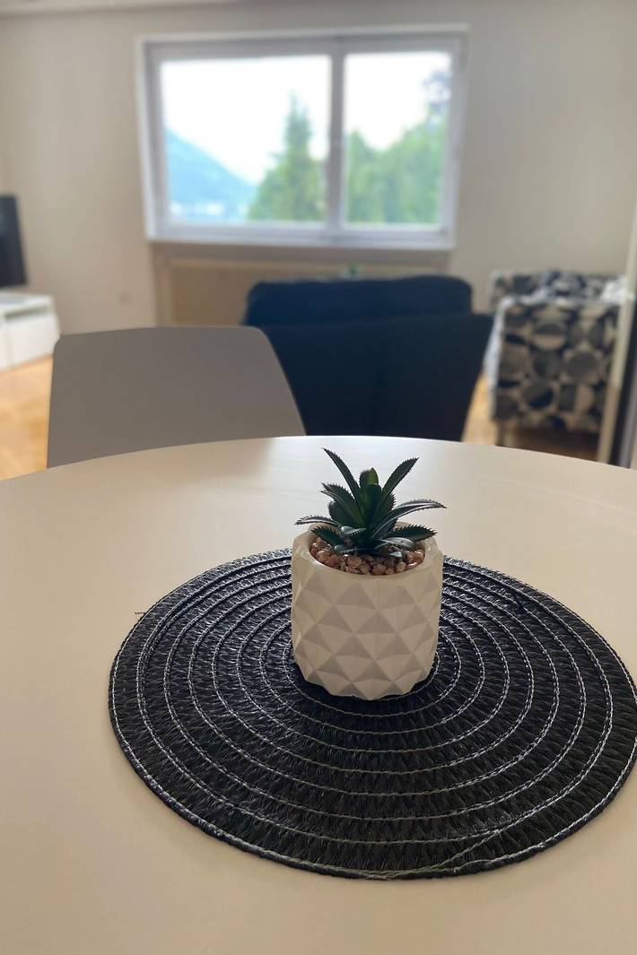 Ferienwohnung für 2 Personen, mit Balkon und Seeblick am Traunsee - 4