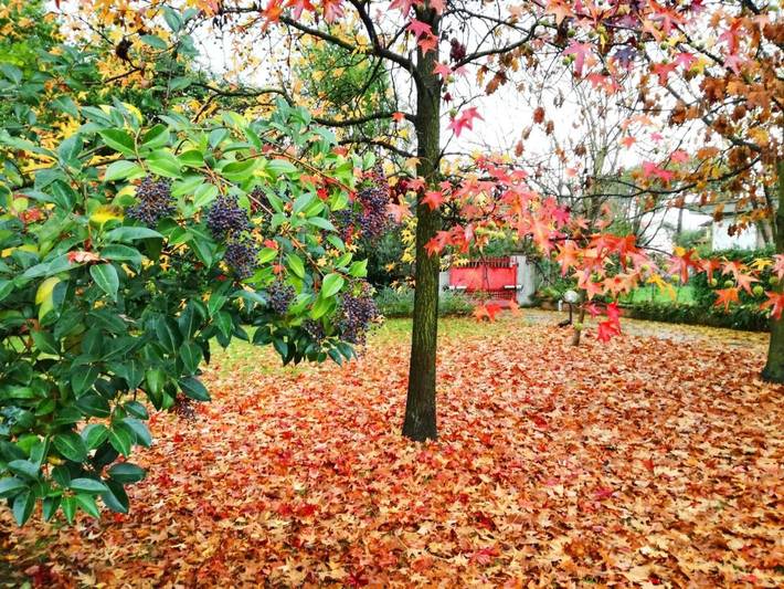 Chambre d’hôte pour 3 personnes, avec jardin à Massa (Italie) - 3