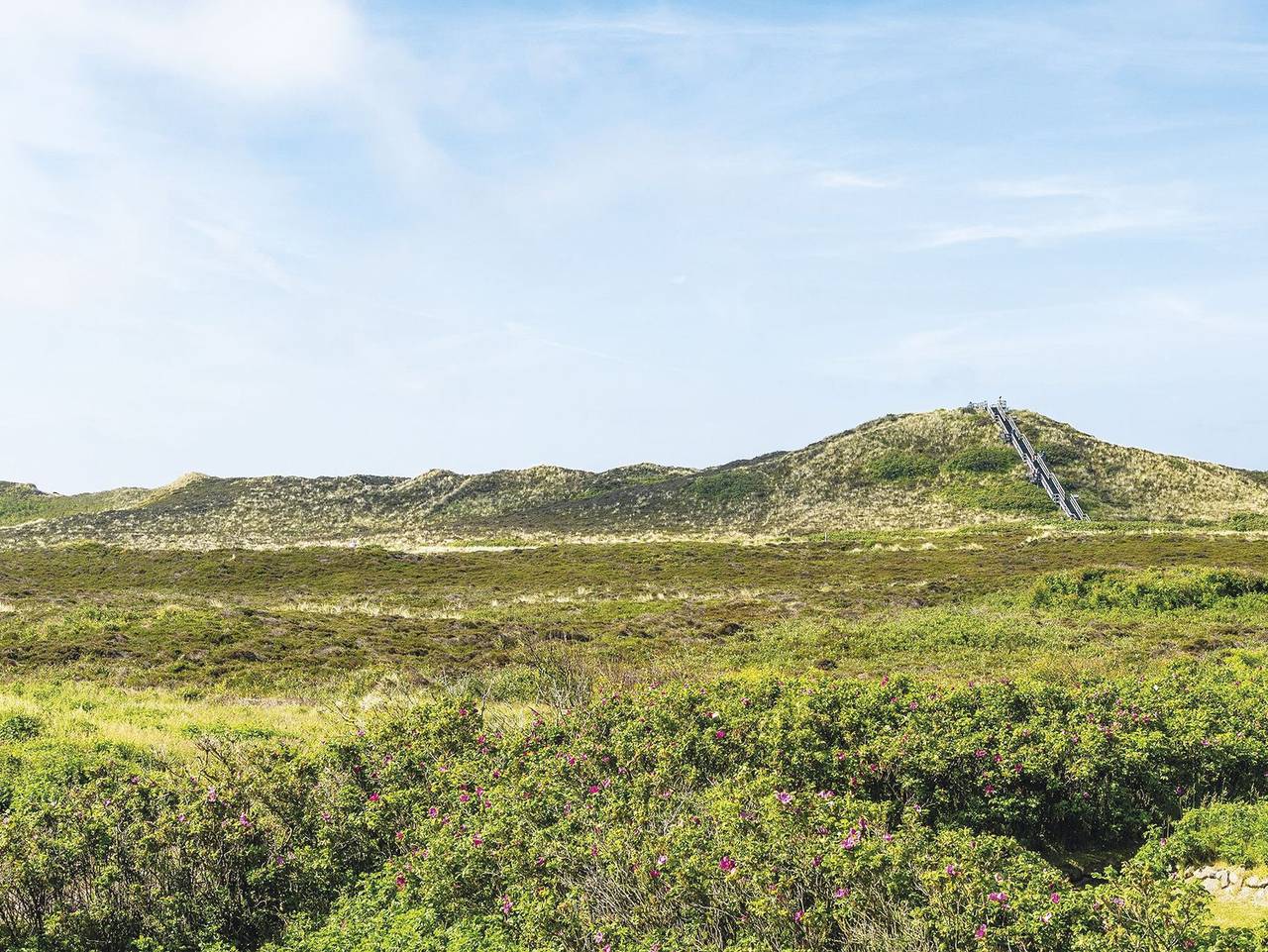 Ganze Ferienwohnung, Kliffhoog 17 von A&M - Kliffhoog 17 in Kampen (Sylt), Sylt