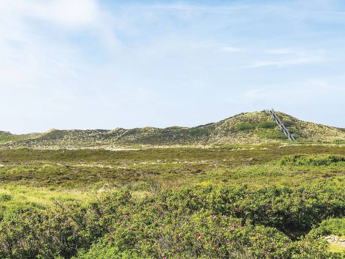 Ganze Ferienwohnung, Kliffhoog 17 von A&M in Nordfriesische Inseln (Schleswig-Holstein) (Schleswig-Holstein), Kampen (Sylt)