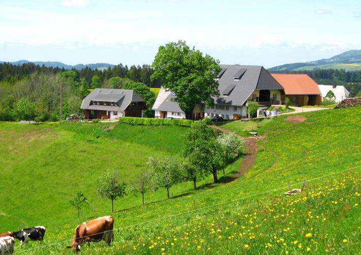 Ganze Wohnung, Ferienwohnung '2- Ost' mit privatem Garten, Balkon und Wi-Fi in St. Märgen, Südschwarzwald