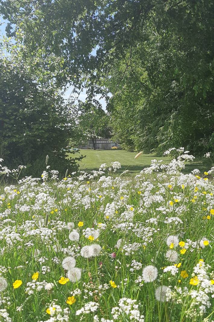 Location de vacances pour 8 personnes, avec jardin dans Virton - 3