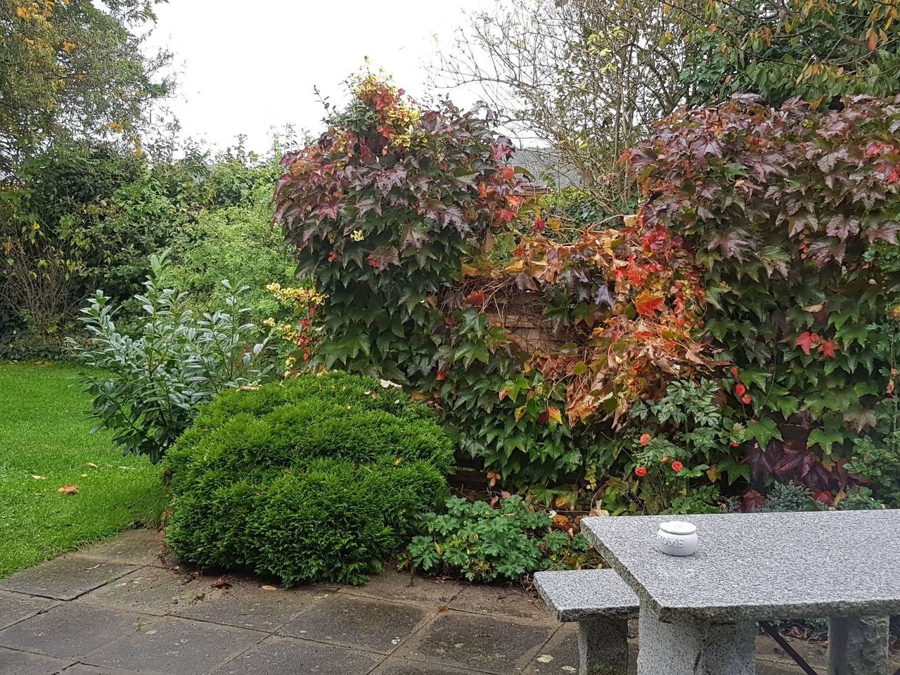 Elbufer 4C in Marschacht, Landkreis Harburg