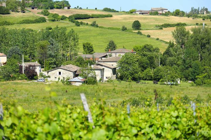 Gîte pour 7 personnes, avec piscine et jardin à Gaillac - 2