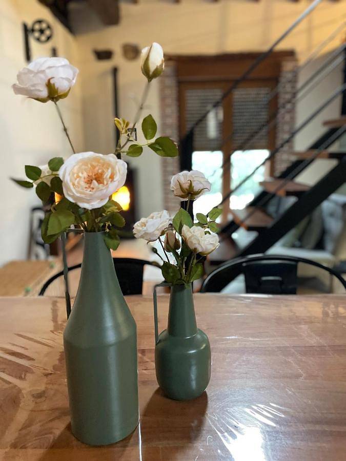 Casa rural para 5 personas, con jardín y vistas, Se admiten mascotas en Comarca del Caudal - 4